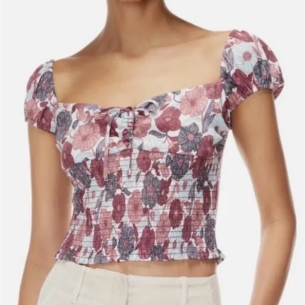 Aritzia Mauve Floral Smocked Puff-Sleeve Crop Top